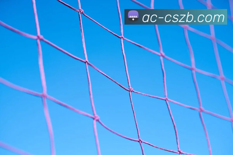 彩神争霸发展历程